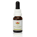 angelsword 15ml | ABFE