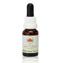 ABFE Billy Goat Plum 15ml | ABFE
