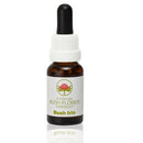 ABFE Bush Iris 15ml | ABFE