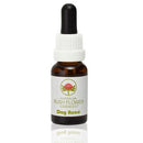 ABFE Dog Rose 15ml | ABFE