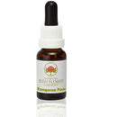 ABFE Kangaroo Paw 15ml | ABFE