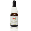 yellow cowslip orchid 15ml | ABFE