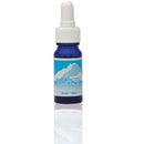 ABFE Antarctic Essence 10ml | ABFE