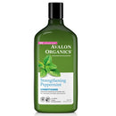 Avalon Strengthening Peppermint Conditioner 312g | AVALON