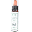 Bach Original Flower Beech 10ml | BACH ORIGINAL FLOWER
