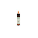 CHESTNUT BUD 10ml | BACH ORIGINAL FLOWER