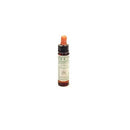 elm 10ml | BACH ORIGINAL FLOWER