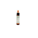 Bach Original Flower Gorse 10ml | BACH ORIGINAL FLOWER