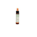 MUSTARD 10ml | BACH ORIGINAL FLOWER