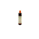 Bach Original Flower Oak 10ml | BACH ORIGINAL FLOWER