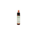 Bach Original Flower Star Of Beth 10ml | BACH ORIGINAL FLOWER