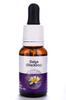 Living Essences Balga (Blackboy) 100ml