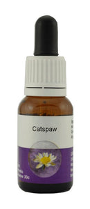 Living Essences Catspaw 15ml