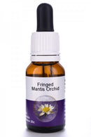 Living Essences Fringed Mantis Orchid 15ml