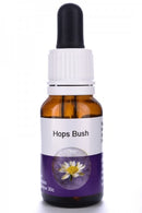 Living Essences Hops Bush 100ml