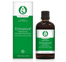 Kiwiherb Echinature 100ml Echinacea (Echinacea Purpurea) | KIWIHERB