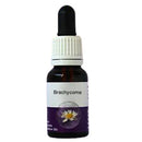 Living Essences Brachycombe 50ml
