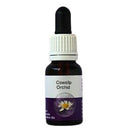 Living Essences Cowslip Orchid 15ml