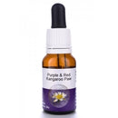 Living Essences Purple & Red Kangaroo Paw 15ml