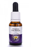 Living Essences Christmas Tree 15ml