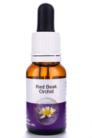 Living Essences Red Beak Orchid 15ml