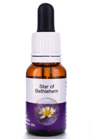 Living Essences Star Of Bethlehem 15ml