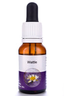 Living Essences Wattle 100ml