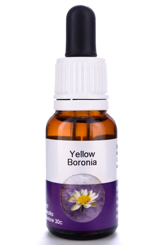 Living Essences Yellow Boronia 15ml