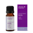 Absolute Essential Basil 10ml