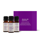 Absolute Essential Home Collection