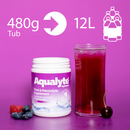 Aqualyte Berry 480g