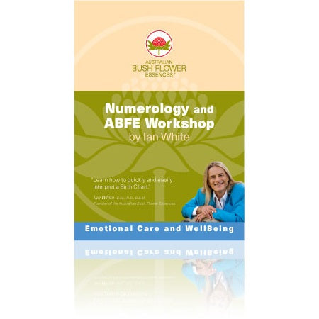 ABFE Numerology & Abfe Workshop Dvd 2Pk | ABFE