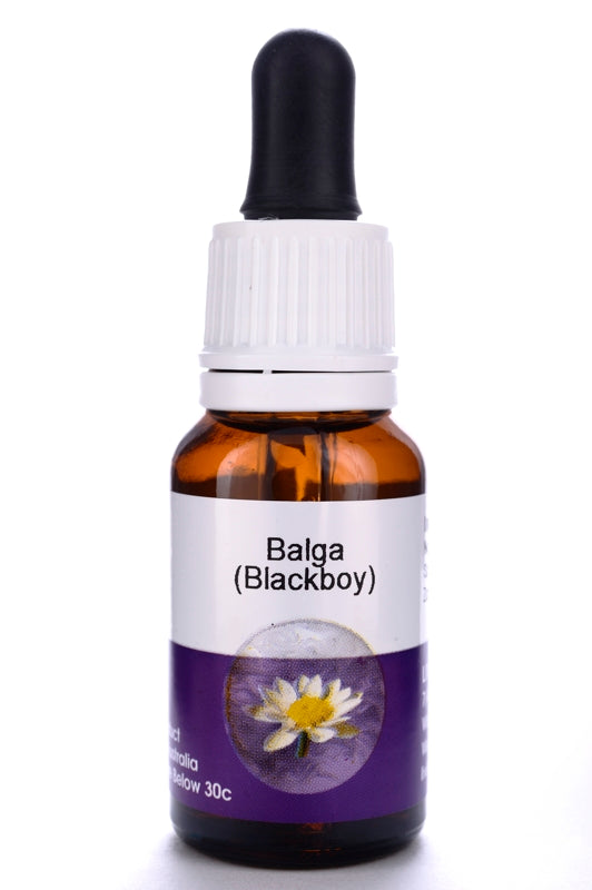 Living Essences Balga (Blackboy)15ml