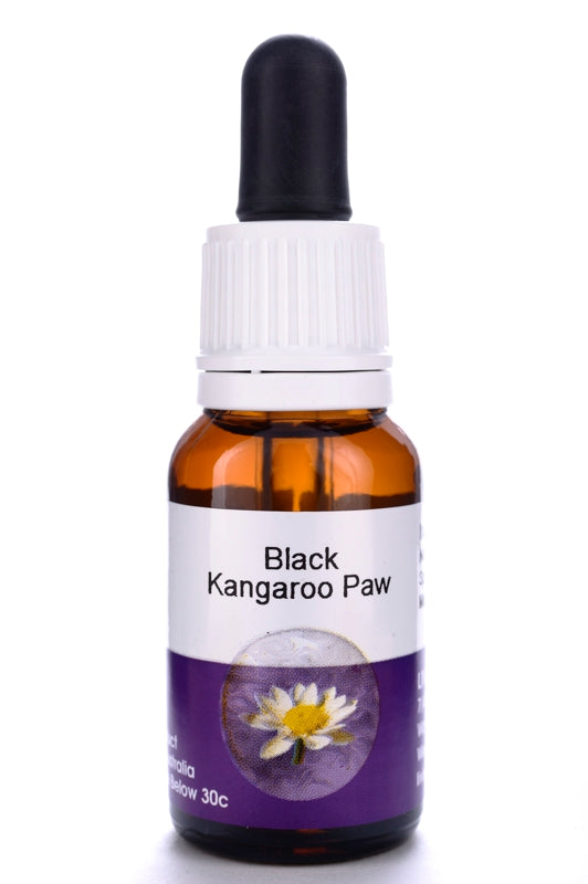 Living Essences Black Kangaroo Paw 50ml