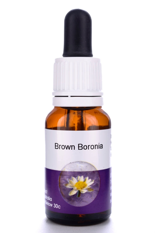 Living Essences Brown Boronia 100ml