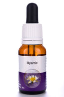 Living Essences Illyarrie 50ml