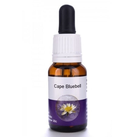 Living Essences Cape Bluebell 15ml