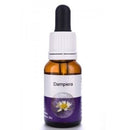Living Essences Dampiera 500ml