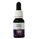 Living Essences Fuschia Grevillia  50ml