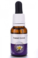 Living Essences Rabbit Orchid 15ml