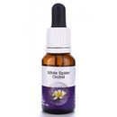 Living Essences White Spider 15ml