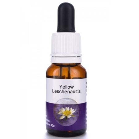 Living Essences Yellow Leschenaultia 15ml