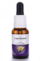 Living Essences Cape Bluebell 15ml