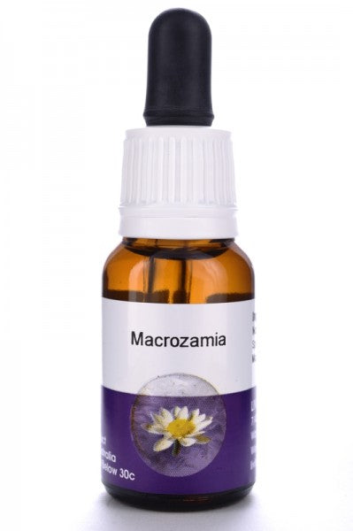 Living Essences Macrozamia 100ml