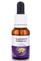 Living Essences Queensland Bottle 15ml