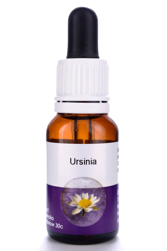 Living Essences Ursinia 100ml