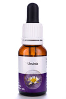 Living Essences Ursinia 500ml