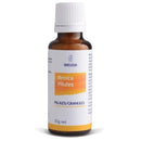 Weleda Arnica Pillules 30g