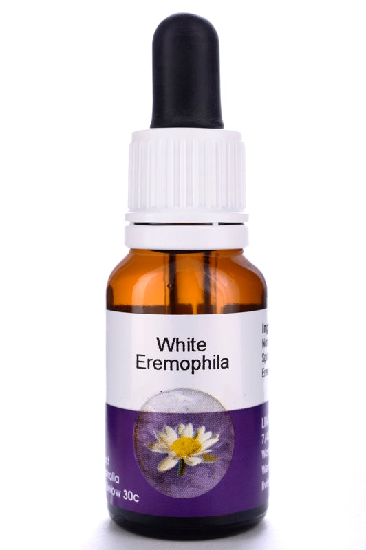 Living Essences White Eremophila 15ml