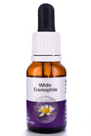 Living Essences White Eremophila 50ml